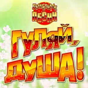 Гуляй, душа! Душевные песни vol.19 Гуляй, душа! Душевные песни vol.19